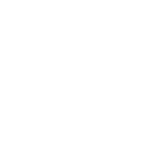 Funktion-One